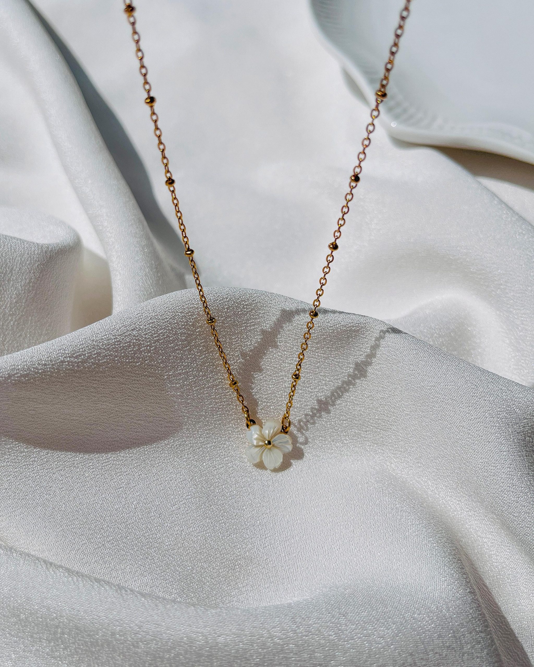 WhatsApp Image 2025-07-20 at 11.46.52 AM